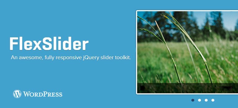 Multiple Features of Flexslider for WP Themes