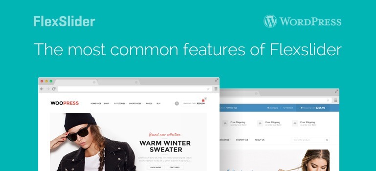 The most common features of Flexslider