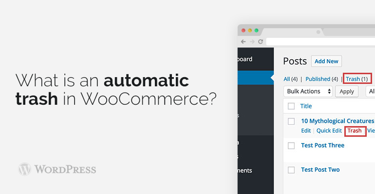 woocommerce themes